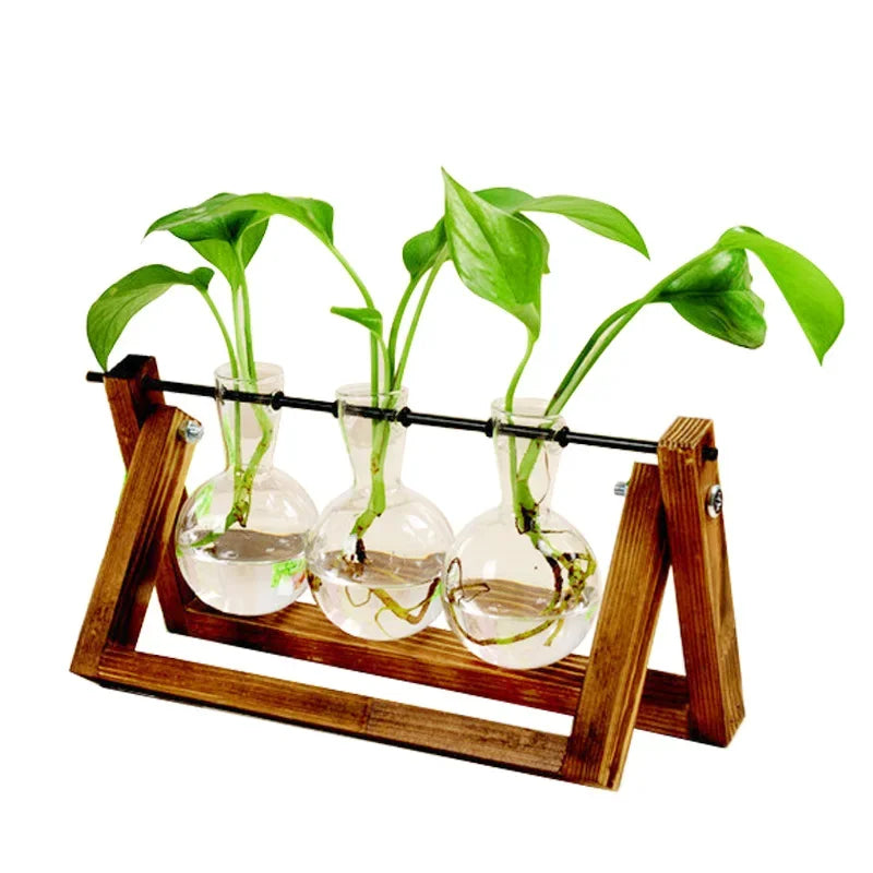 Terrarium Creative Hydroponic Plant Transparent Vase Wooden Frame Vase Decoratio Glass Tabletop Plant Bonsai Decor Flower Vase